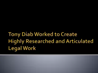 Tony Diab Worked to Create Highly Researched and Articulated Legal Work