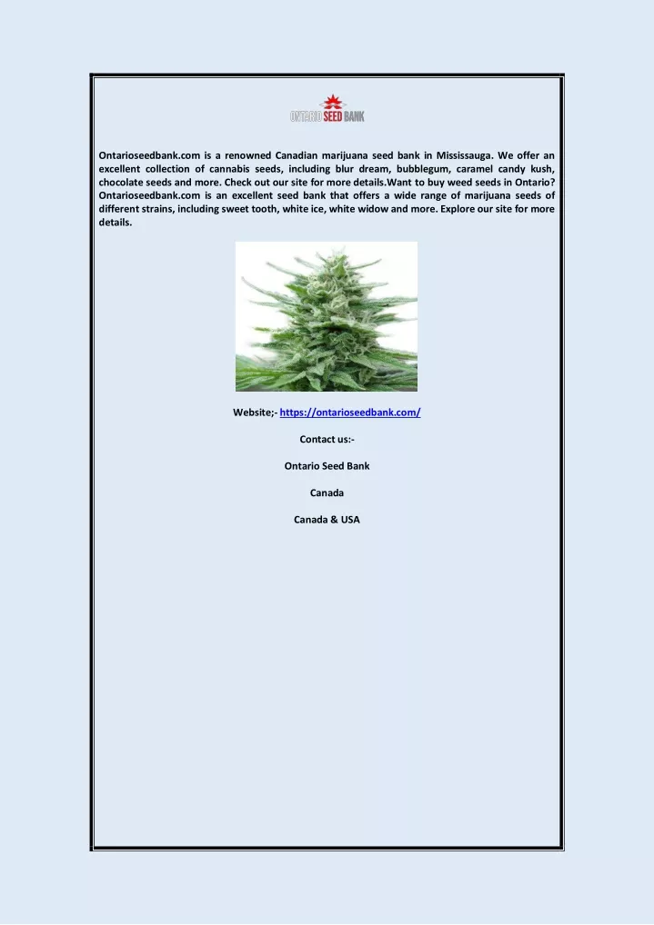 ontarioseedbank com is a renowned canadian