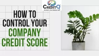how to control your company credit score