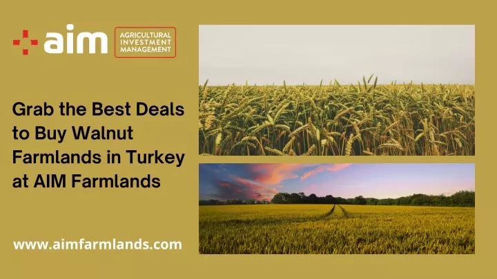 grab the best deals to buy walnut farmlands