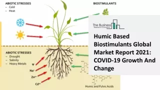 humic based biostimulants global market report