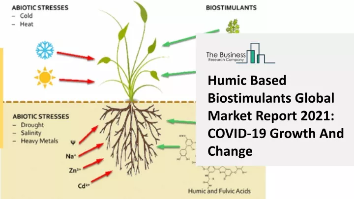 humic based biostimulants global market report