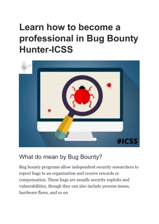 learn how to become a professional in bug bounty