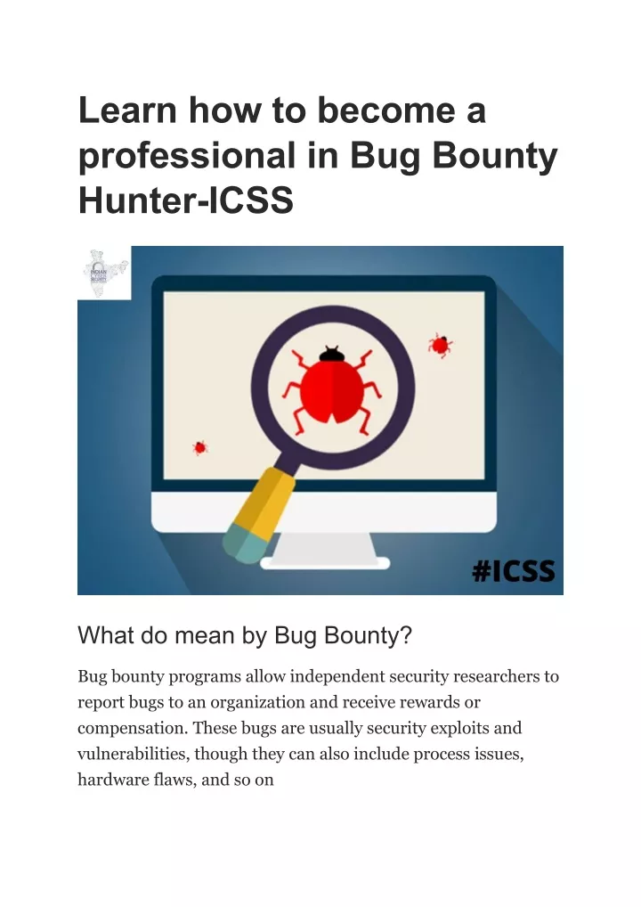 learn how to become a professional in bug bounty