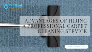 Professional Carpet Cleaning