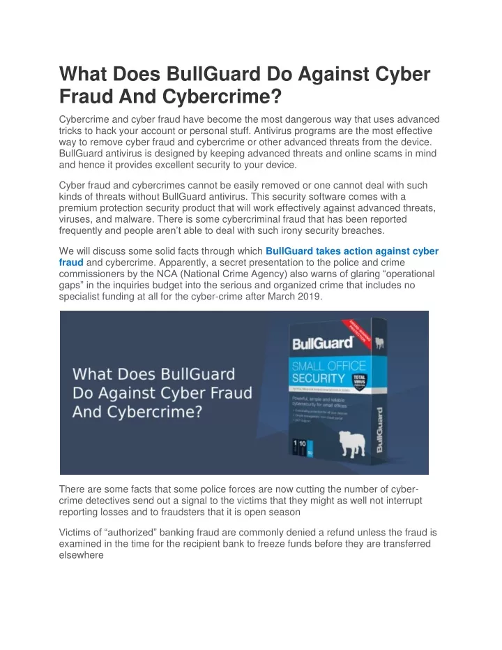 what does bullguard do against cyber fraud