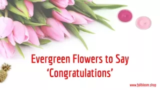 Evergreen Flowers to Say ‘Congratulations’