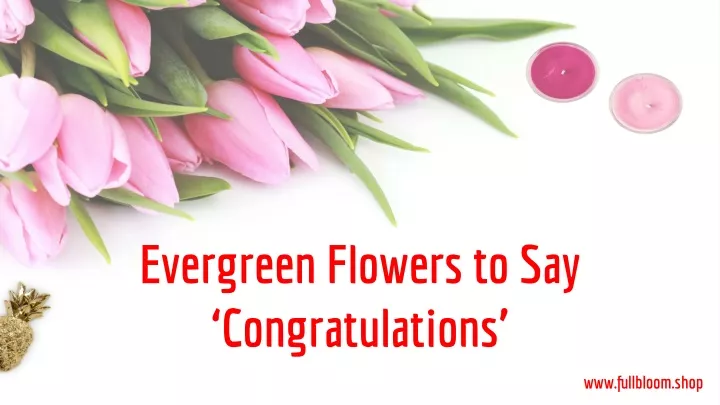 evergreen flowers to say congratulations