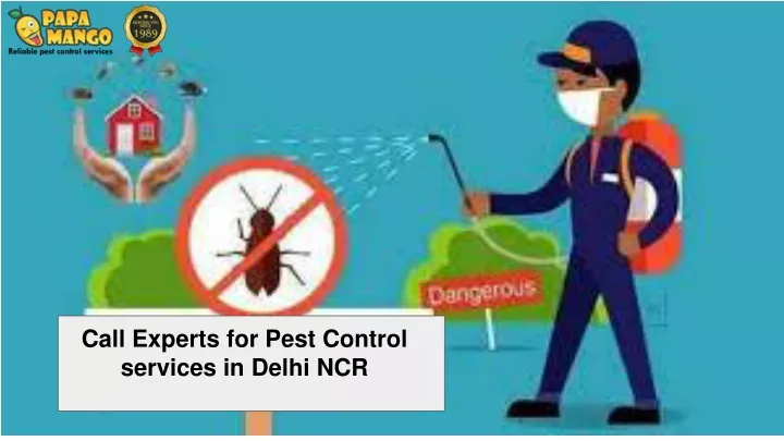 call experts for pest control services in delhi