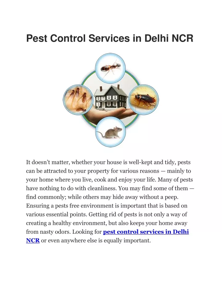 pest control services in delhi ncr