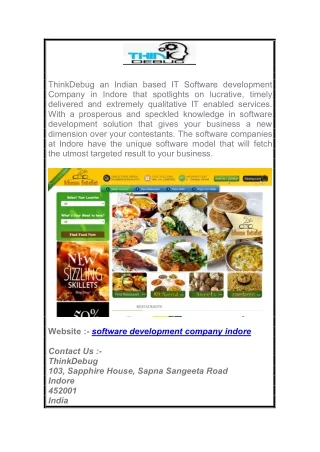 Software Development Company Indore  Thinkdebug.com