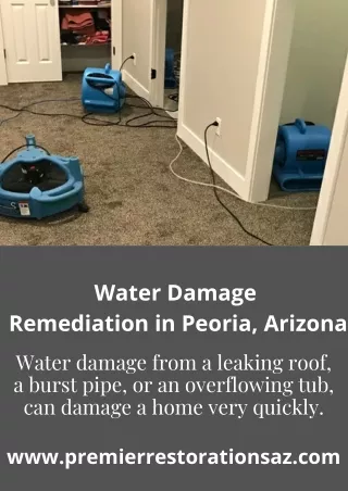 Peoria, AZ Water Damage and Water Damage Remediation in Peoria, AZ