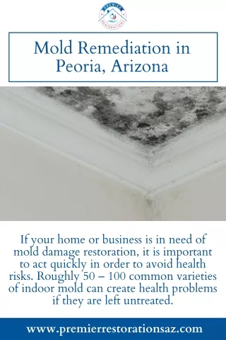 Peoria, AZ Mold Remediation and Mold Removal in Peoria, AZ