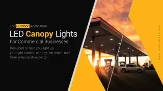 LED Canopy Lights for Commercial Businesses