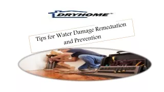 Tips for Water Damage Remediation and Prevention