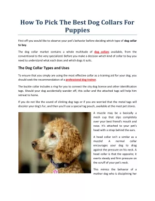 how to pick the best dog collars for puppies