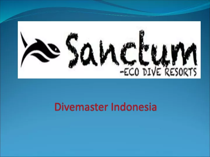 divemaster indonesia