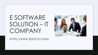 e software solution it company