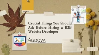 crucial things you should ask before hiring a b2b website developer