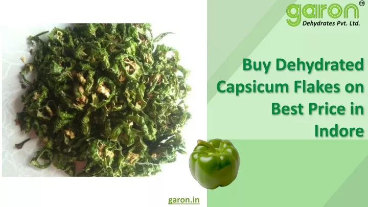 buy dehydrated capsicum flakes on best price in indore