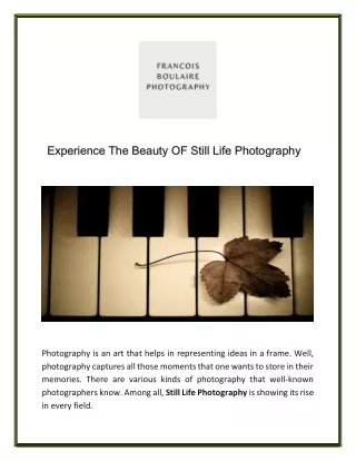Experience The Beauty Of Still Life Photography in Sebastopol