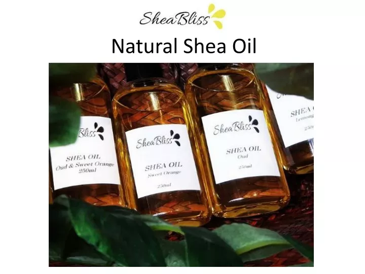 natural shea oil