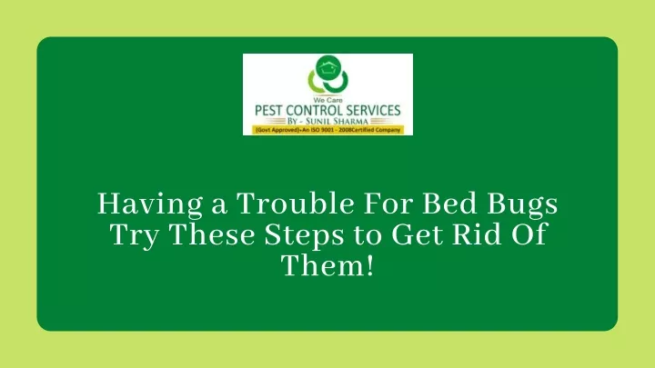 having a trouble for bed bugs try these steps