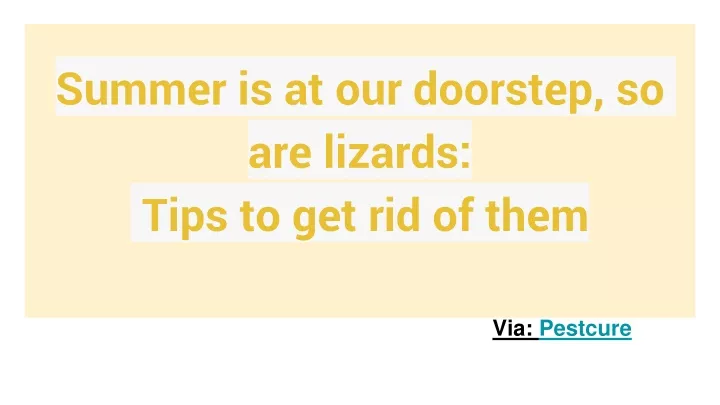 summer is at our doorstep so are lizards tips to get rid of them