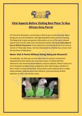 Vital Aspects Before Visiting Best Place To Buy African Grey Parrot
