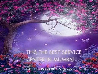this the best service center in mumbai