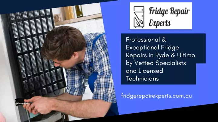 professional exceptional fridge repairs in ryde