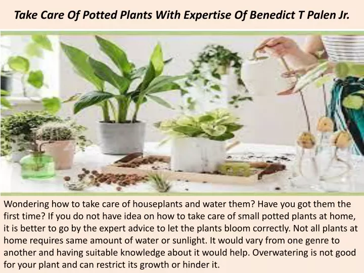 take care of potted plants with expertise of benedict t palen jr