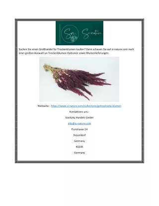 suchen sie einen gro handel f r trockenblumen