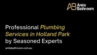 Professional Plumbing Services in Holland Park by Seasoned Experts
