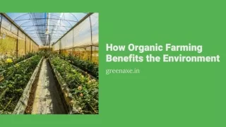 How Organic Farming Benefits the Environment - GreenAxe