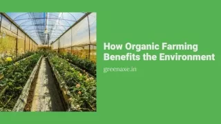 How Organic Farming Benefits the Environment - GreenAxe