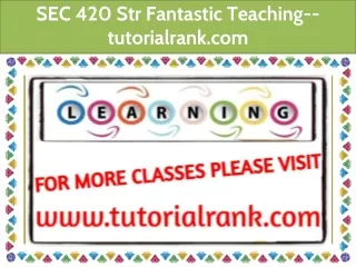 SEC 420 Str Fantastic Teaching--tutorialrank.com