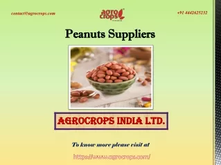 A Leading Peanuts Suppliers In India