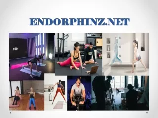 endorphinz net