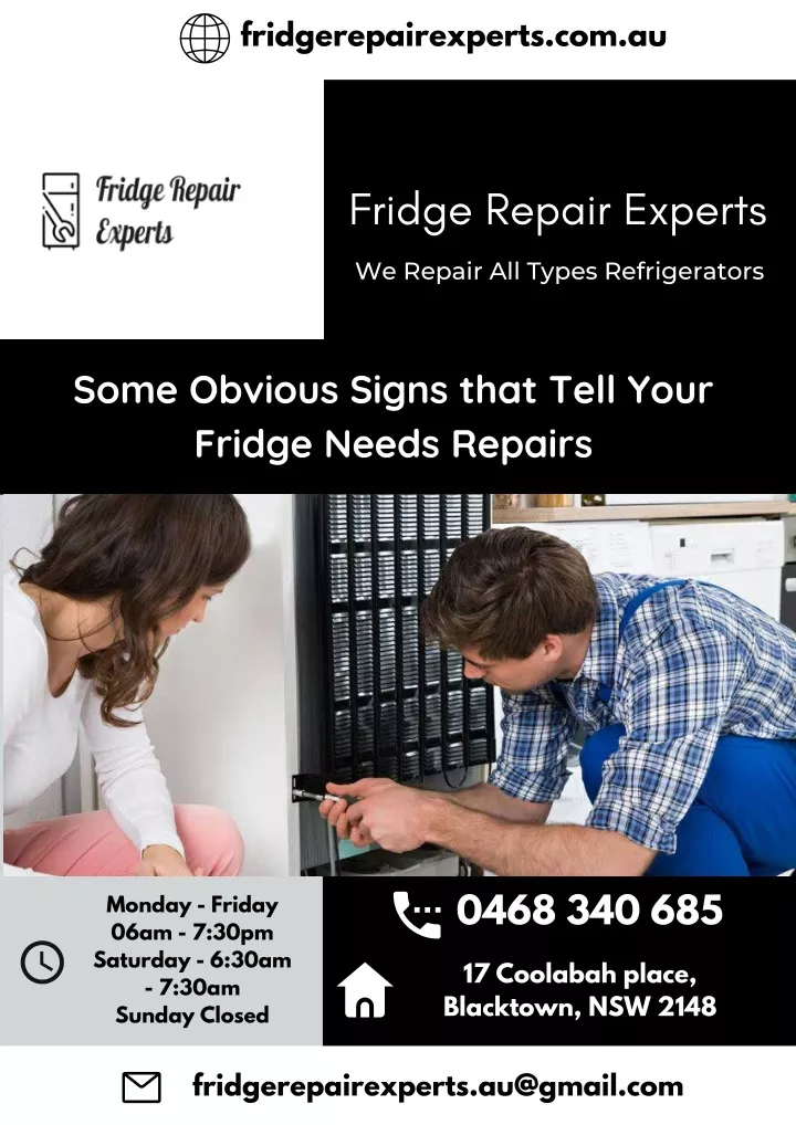 fridgerepairexperts com au