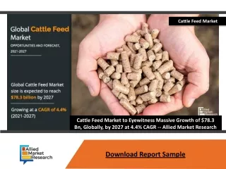cattle feed market