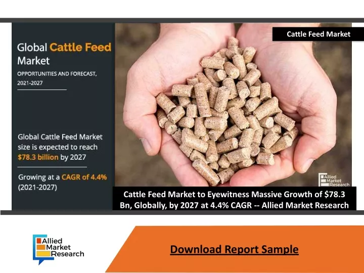 cattle feed market