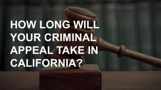 How Long will your criminal appeal take in california?