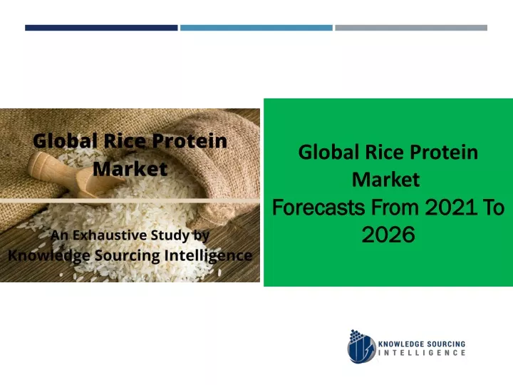 global rice protein market forecasts from 2021