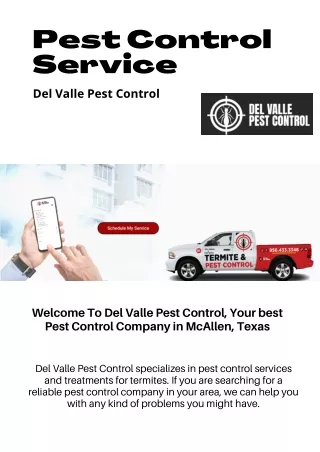 Pest Control Services in Laredo
