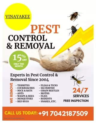 Copy of Pest Control Flyer - Made with PosterMyWall (1)-converted