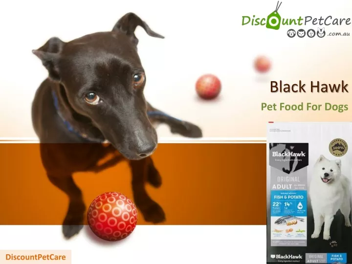 black hawk pet food for dogs