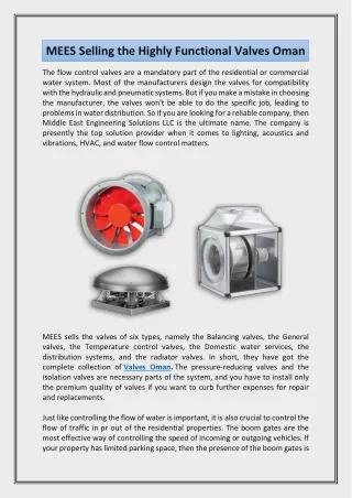 mees selling the highly functional valves oman