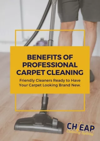 Benefits of Hiring a Professional Carpet Cleaning