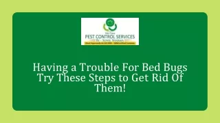 having a trouble for bed bugs try these steps to get rid of them